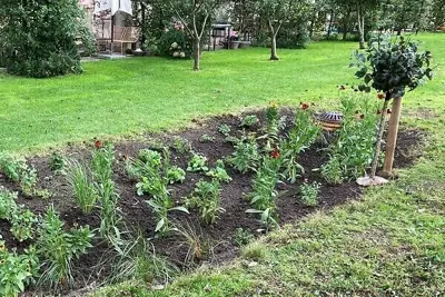 Ny beplantning i et bed ved en grøn græsplæne.