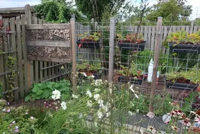 Frodig have med vertikale plantekasser og et insekthotel